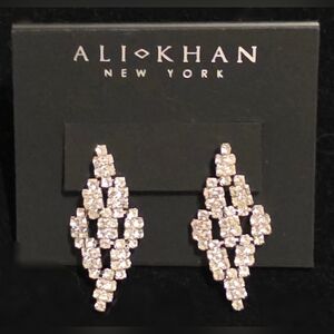 Elegant Bling Earrings